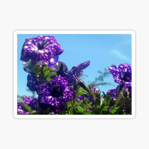 Item preview, Violet Flowers 6 designed and sold by Jaeda DeWalt.