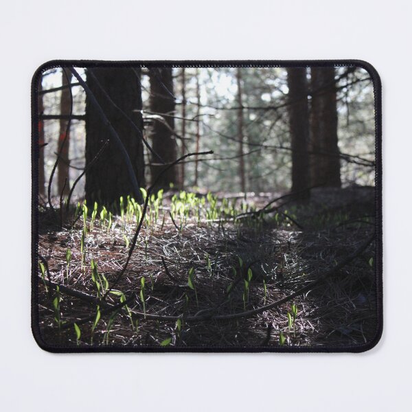Item preview, Spring rebirth (25.04.23) designed and sold by cryptickludo.