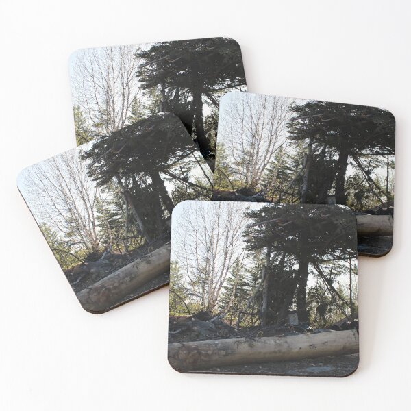 Item preview, Return to nature (25.04.2023) designed and sold by cryptickludo.