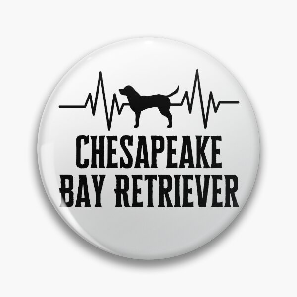 Artikelvorschau, Wunderschöner Chesapeake Bay Retriever entworfen und verkauft von Thevulcano.