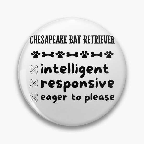Item preview, Chesapeake Bay Retriever Dogs Are Very Intelligent, Responsive, and Eager to Please designed and sold by Thevulcano.