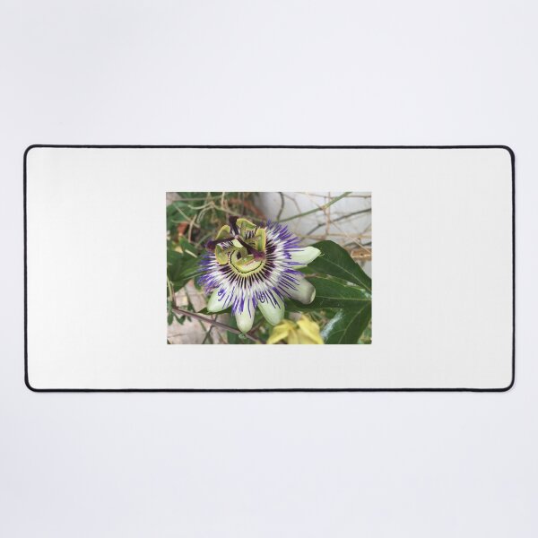 Item preview, Flower designed and sold by Rose Hackl.