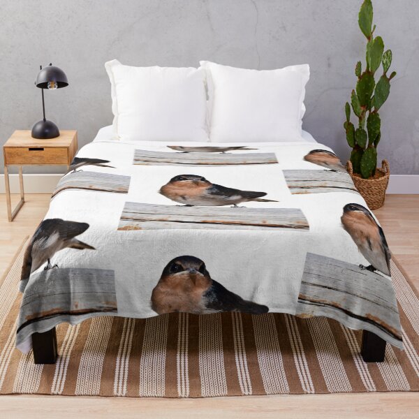 Item preview, Wellcome swallow, Australian bird. ,  designed and sold by Debsgiftware Ward.