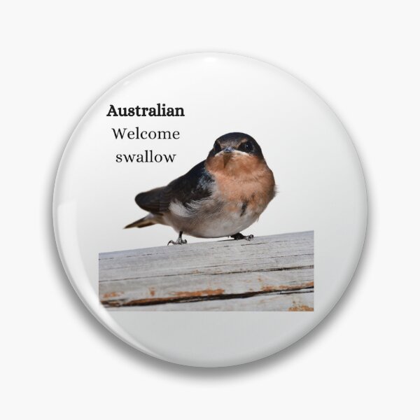 Item preview, Wellcome swallow, number 2 Australian bird. ,  designed and sold by Debsgiftware Ward.