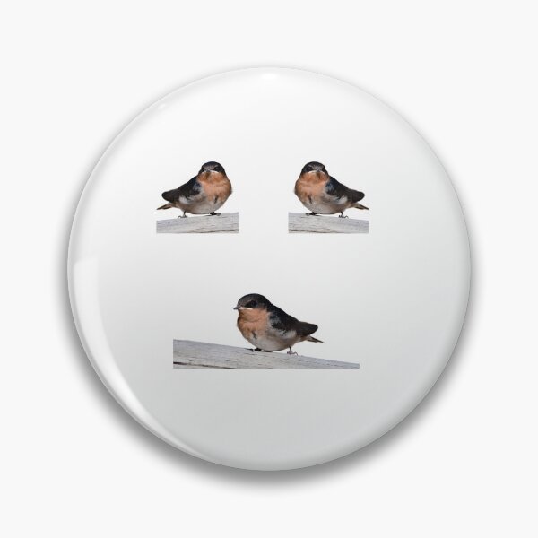 Item preview, Wellcome swallow, number 3,  Australian bird. ,  designed and sold by Debsgiftware Ward.