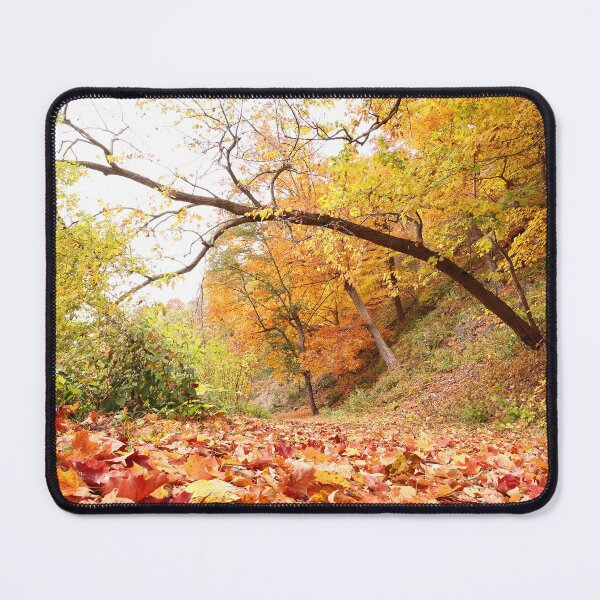 Item preview, Lower Niagara Gorge Splendor designed and sold by fototaker Tony.