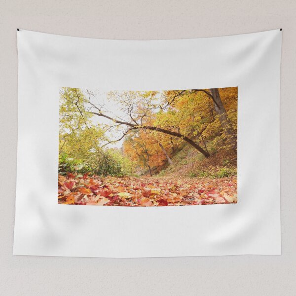 Item preview, Lower Niagara Gorge Splendor designed and sold by fototaker Tony.