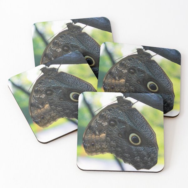 Item preview, Owl Butterfly designed and sold by Lydia Planalp.