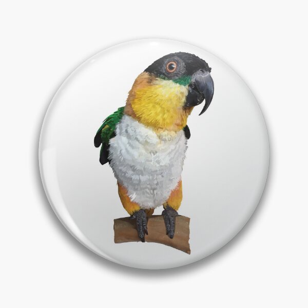 Item preview, The black-headed caique designed and sold by obscurite.