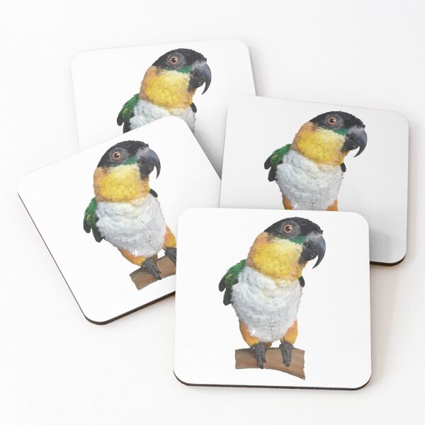 Item preview, The black-headed caique designed and sold by obscurite.