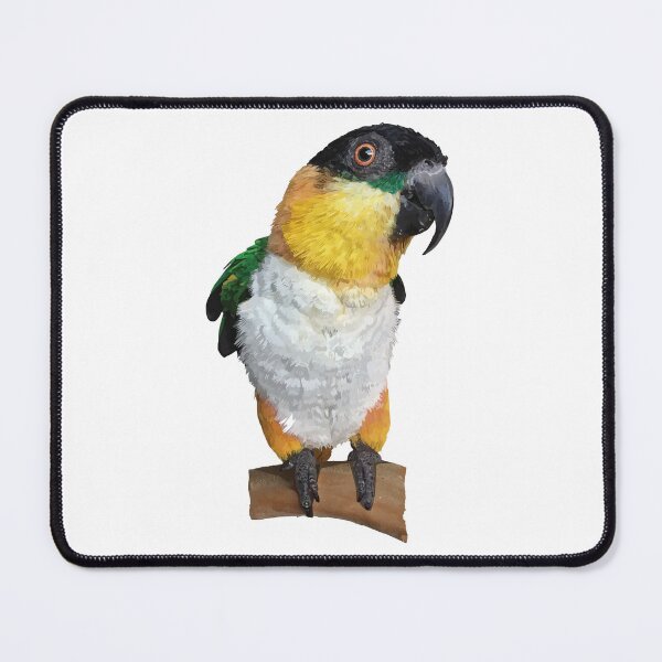 Item preview, The black-headed caique designed and sold by obscurite.