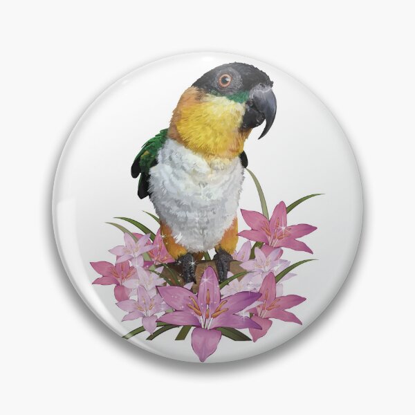 Item preview, The black-headed caique designed and sold by obscurite.