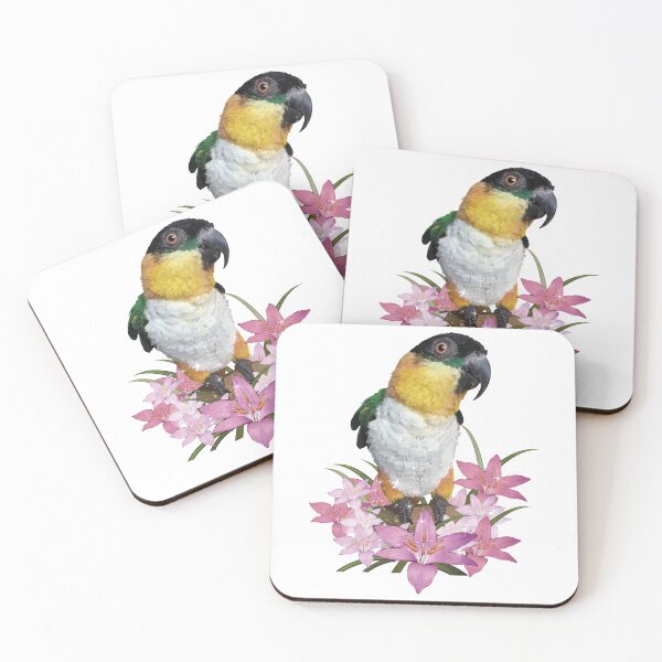 Item preview, The black-headed caique designed and sold by obscurite.