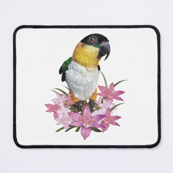 Item preview, The black-headed caique designed and sold by obscurite.