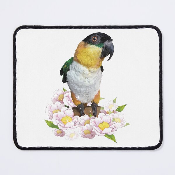 Item preview, The black-headed caique designed and sold by obscurite.