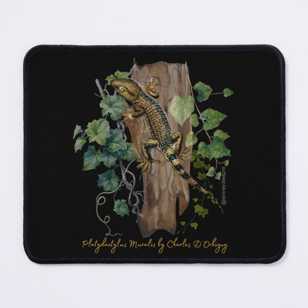 Item preview, Platydactylus Muralis by Charles D'Orbigny designed and sold by smirey designs.