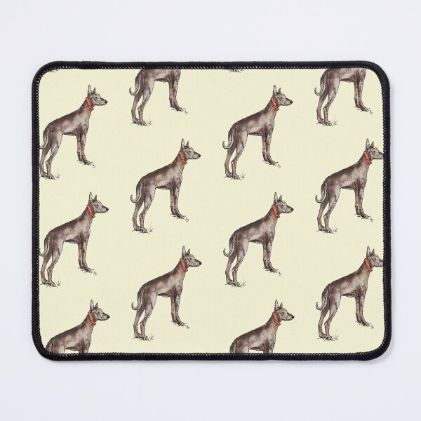 Item preview, Xoloitzcuintle  designed and sold by rita-andi.