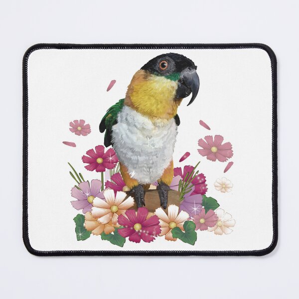 Item preview, The black-headed caique designed and sold by obscurite.