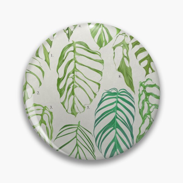 Item preview, Lacey Monstera designed and sold by AABExotics.