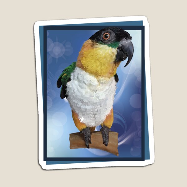 Item preview, The black-headed caique designed and sold by obscurite.
