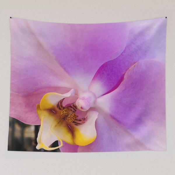 Item preview, Chic Pink Lilac Colored Orchid Flower Elegant Close-Up designed and sold by DEC02.
