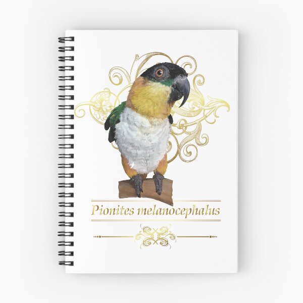 Item preview, The black-headed caique designed and sold by obscurite.