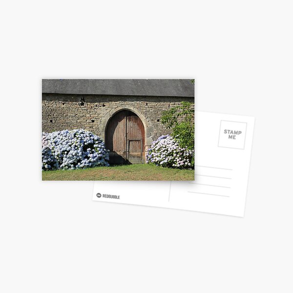 www.lizgarnett.com ... Barn and Hydrangers, Manoir de Cardelan, Larmor Baden, Brittany, France Postcard