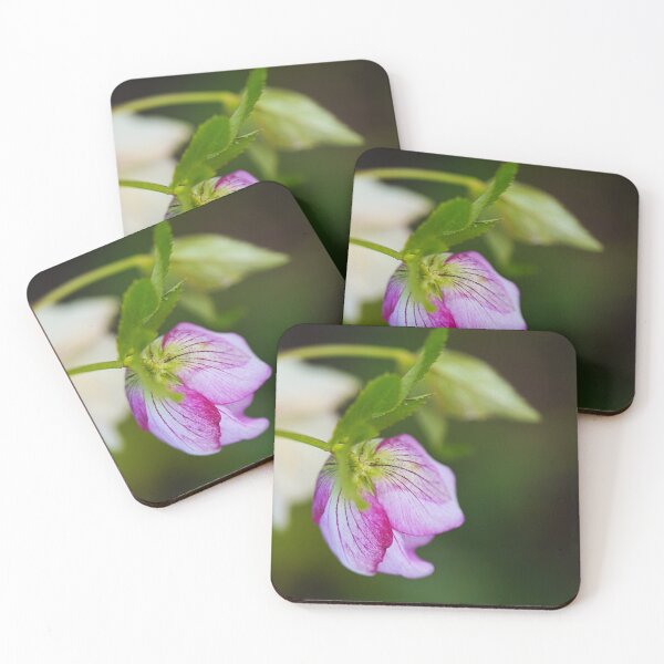 Item preview, Hellebore Tutu Pink Flower designed and sold by Joy Watson - Natural Light Photography .
