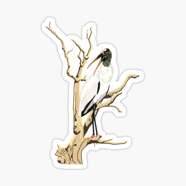 Wood Stork Sticker