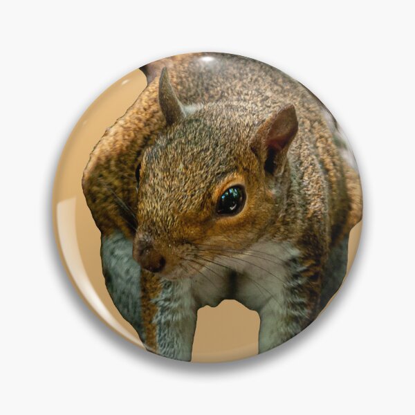 Item preview, Cute Grey Squirrel designed and sold by Dalyndigital Photography.