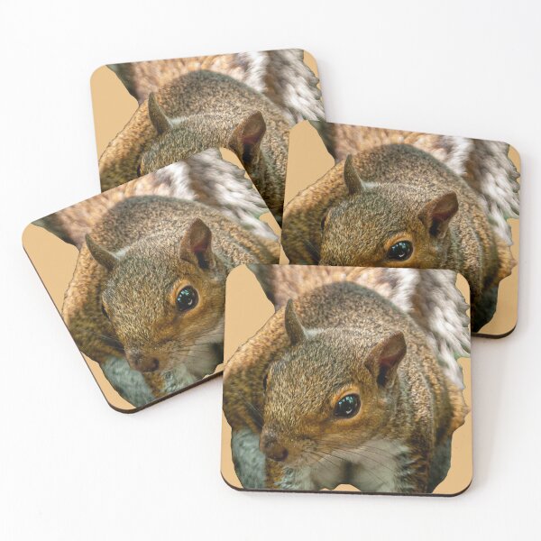 Item preview, Cute Grey Squirrel designed and sold by Dalyndigital Photography.