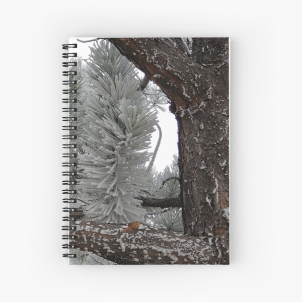 Winter Frost Spiral Notebook