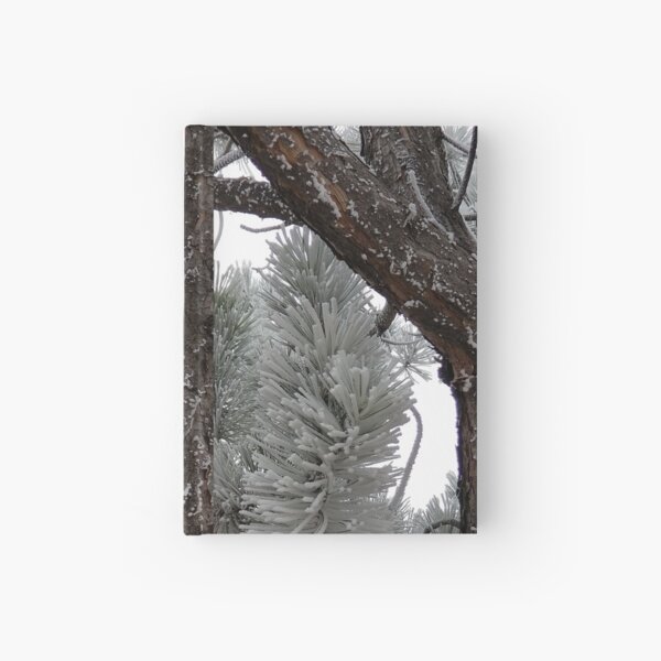Winter Frost Hardcover Journal
