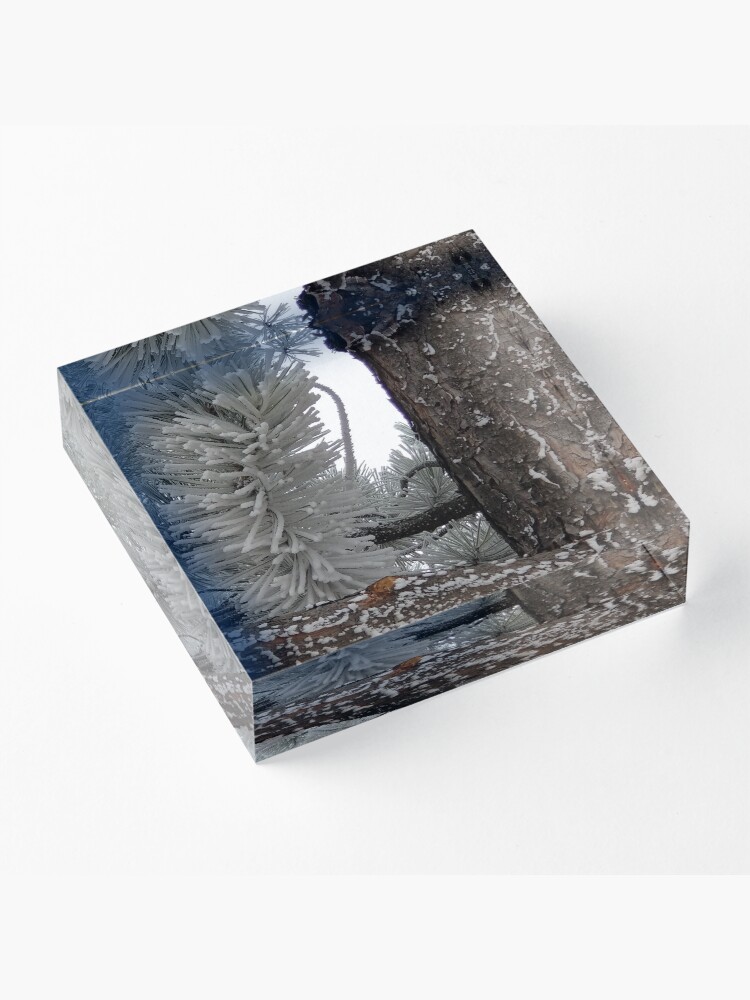 Alternate view of Winter Frost Acrylic Block