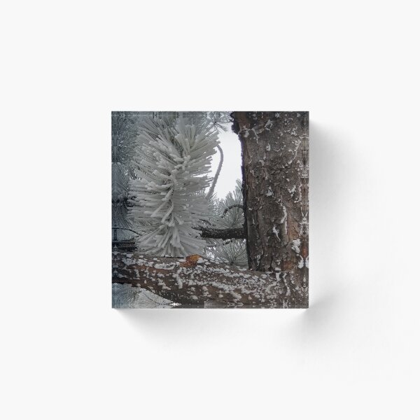 Winter Frost Acrylic Block