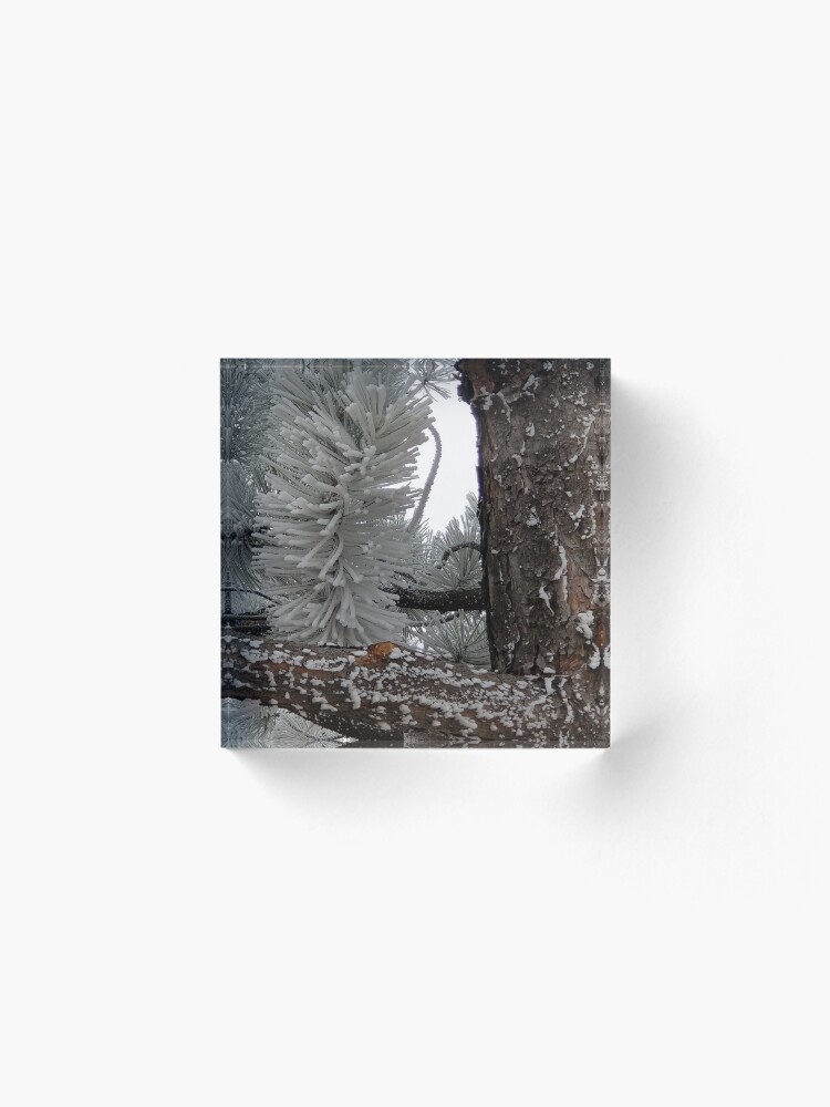 Alternate view of Winter Frost Acrylic Block