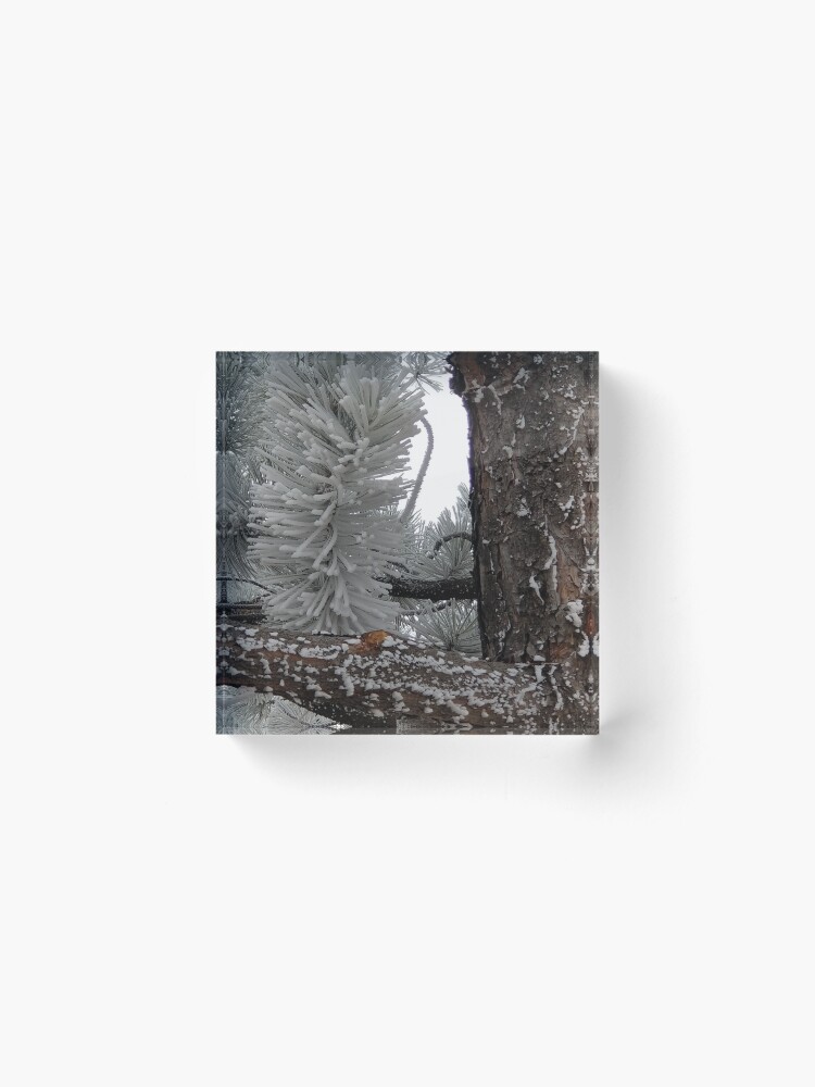 Alternate view of Winter Frost Acrylic Block