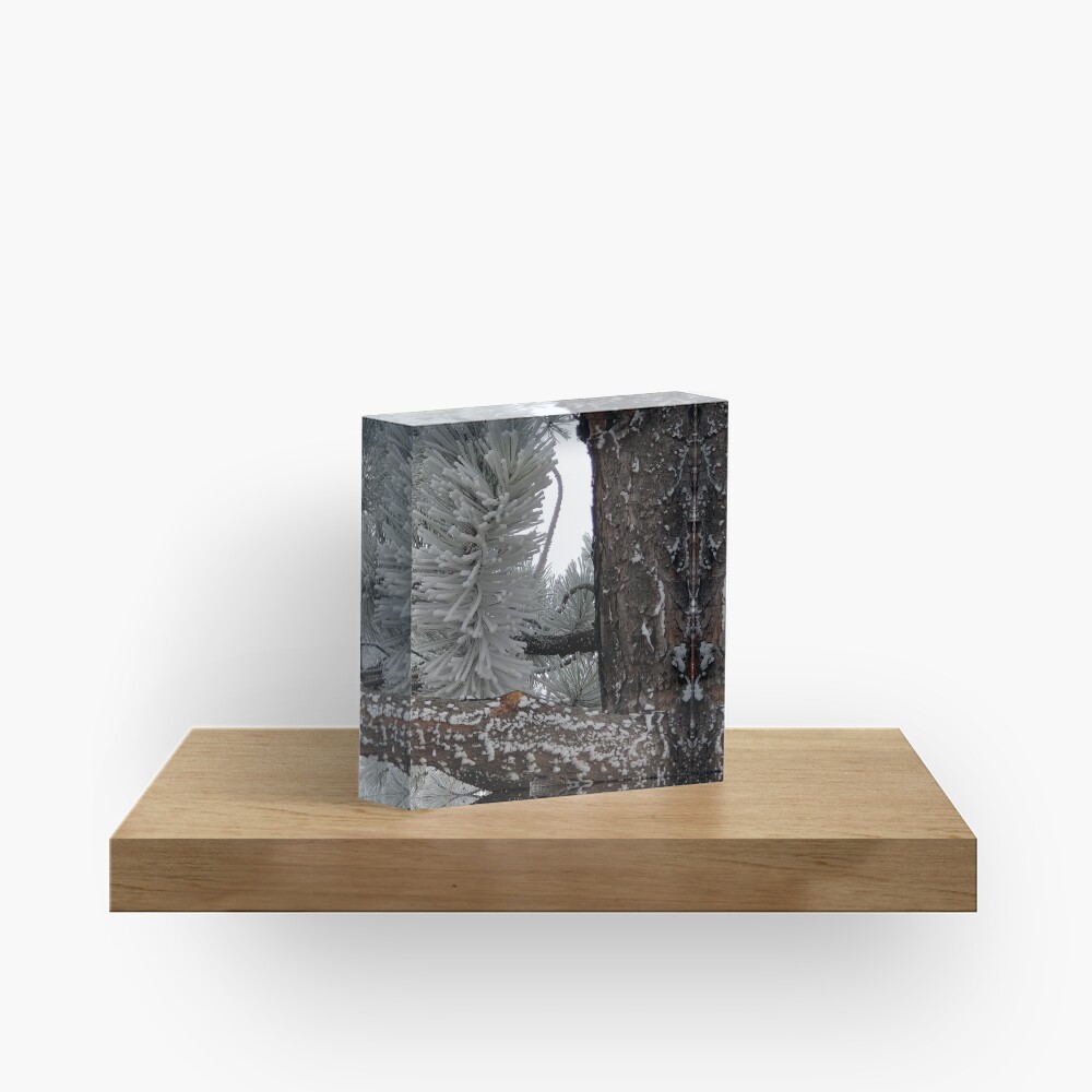 Winter Frost Acrylic Block