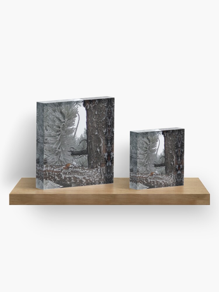 Alternate view of Winter Frost Acrylic Block