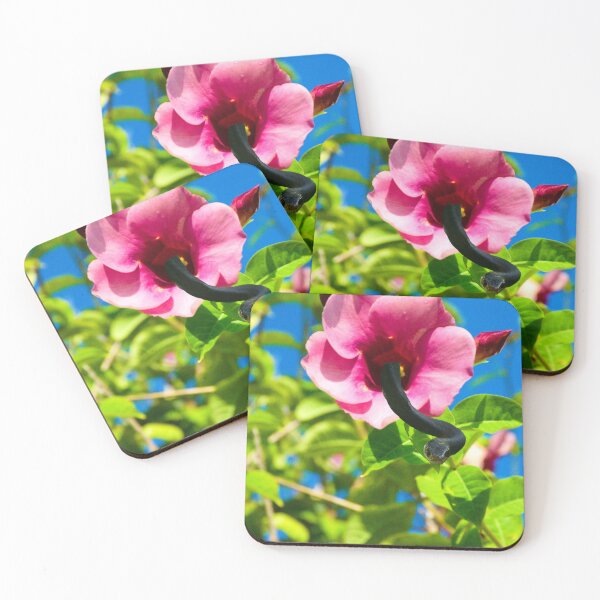 Item preview, Snake Flower Bloom designed and sold by MercerImages.