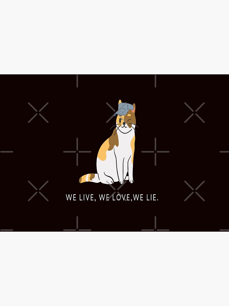 ship meaning in warrior cats｜TikTok Search