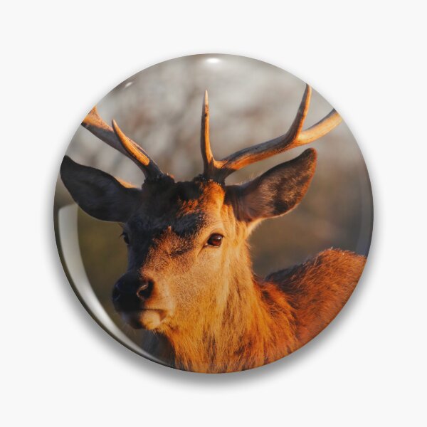 Item preview, Solitude of the Stag designed and sold by TMcG72.