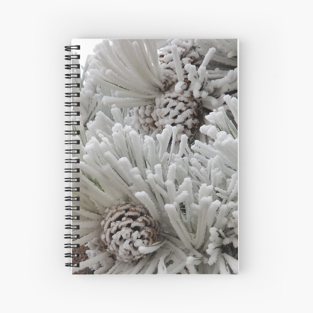 Frosted Pine Cones Winter Wonderland Spiral Notebook