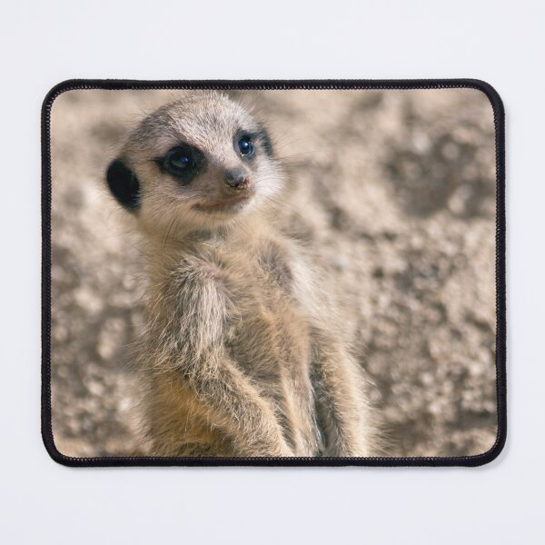 Item preview, Sentry-in-Training designed and sold by Krys Bailey.