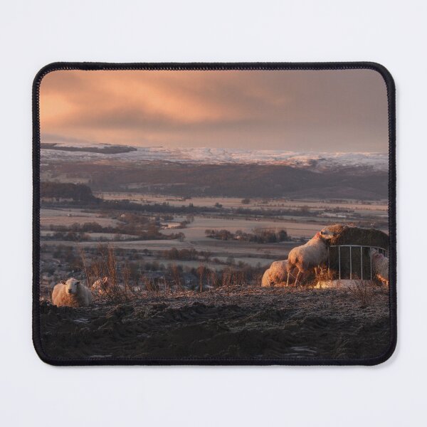 Item preview, Sunrise over Stirling with Sheep designed and sold by TMcG72.