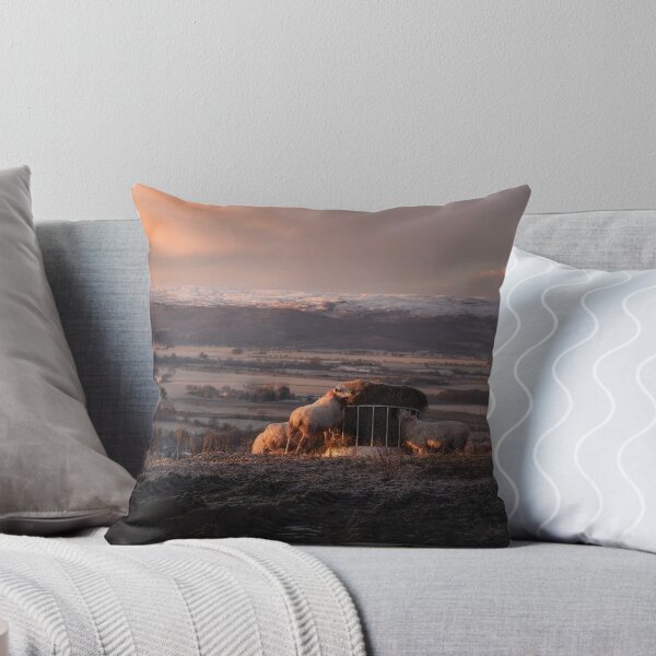 Item preview, Sunrise over Stirling with Sheep designed and sold by TMcG72.