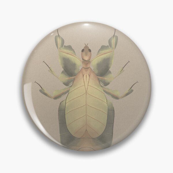 Item preview, Leaf Insect designed and sold by BottledWhimsy.