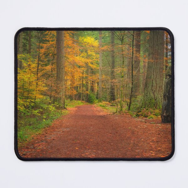 Item preview, Autumn Woodland Trail  designed and sold by TMcG72.