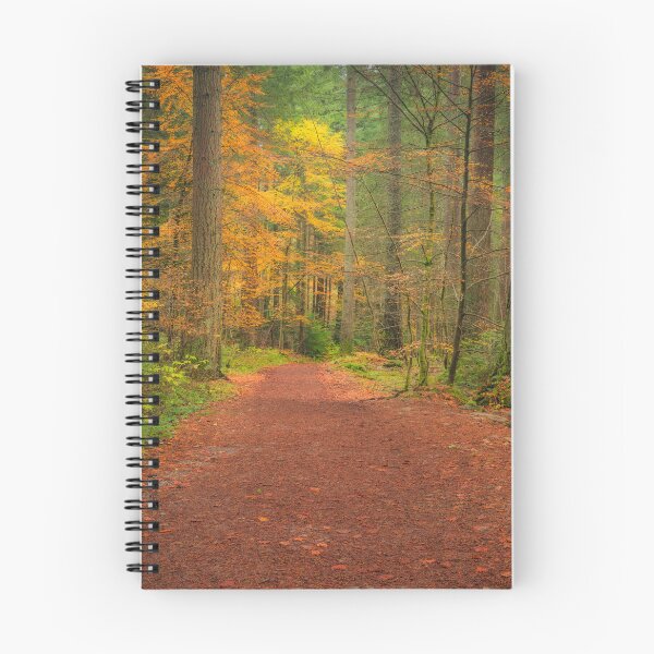 Item preview, Autumn Woodland Trail  designed and sold by TMcG72.