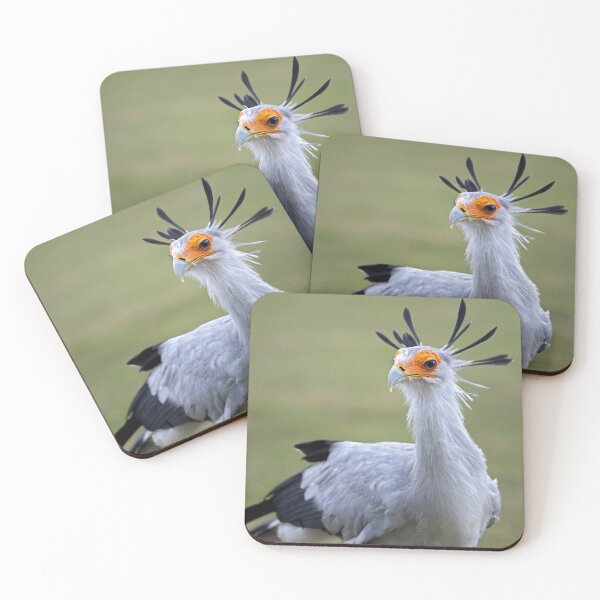 Item preview, Secretary Bird designed and sold by Krys Bailey.